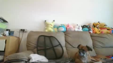 Snapshot of nikeair305 chatting on November 19, 2025, 7:52 am Brian and Logan Brogan online show from November 19, 2025, 7:52 am