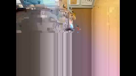 Nikolay online show from May 12, 2026, 9:17 am