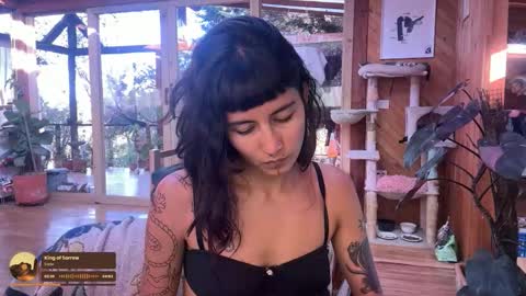 Nina.  online show from October 20, 2025, 9:26 pm