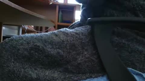 Snapshot of nineinchhard chatting on March 6, 2025, 10:20 am nineinchhard online show from March 6, 2025, 10:20 am