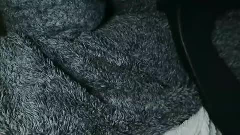 nineinchhard online show from November 28, 2025, 12:19 pm