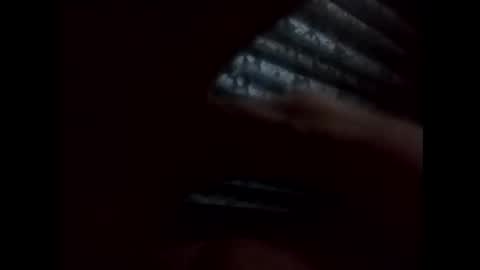 nl02020202 online show from November 3, 2025, 11:00 am