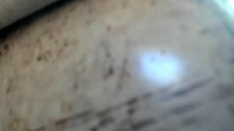 Snapshot of noah_happy07 chatting on January 29, 2025, 7:15 am Noah online show from January 29, 2025, 7:15 am