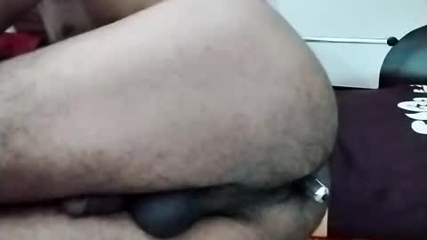 sim  nib online show from November 13, 2025, 11:42 am