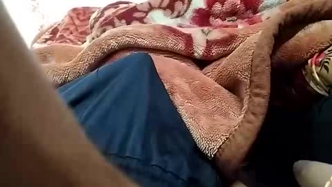 sim  nib online show from February 5, 2026, 5:01 am