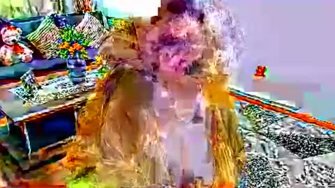 noraj66 online show from March 23, 2026, 1:59 pm