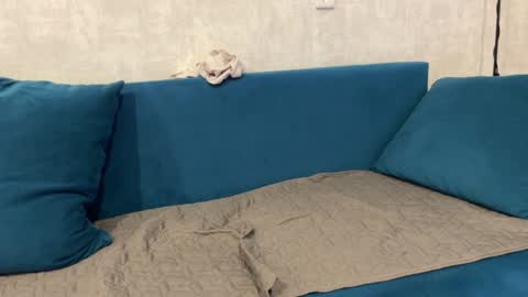 Snapshot of norakiso chatting on December 29, 2024, 12:55 pm Eva online show from December 29, 2024, 12:55 pm