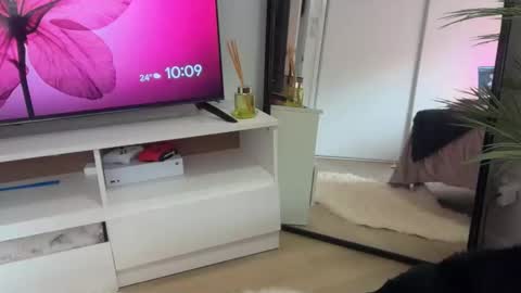 Snapshot of novamills chatting on February 3, 2026, 12:09 am Nova Mills online show from February 3, 2026, 12:09 am