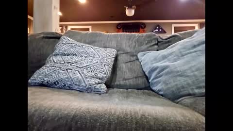 Snapshot of nudistguy194549 chatting on January 13, 2026, 12:16 am Nudistguy online show from January 13, 2026, 12:16 am