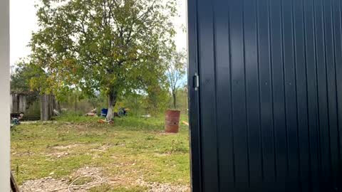 Snapshot of nyconik chatting on September 19, 2025, 7:21 am Nicol online show from September 19, 2025, 7:21 am