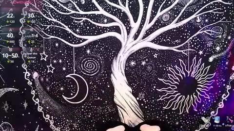 nyx murtualer online show from December 16, 2025, 3:00 am