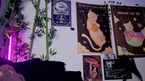   online show from April 21, 2026, 2:51 am