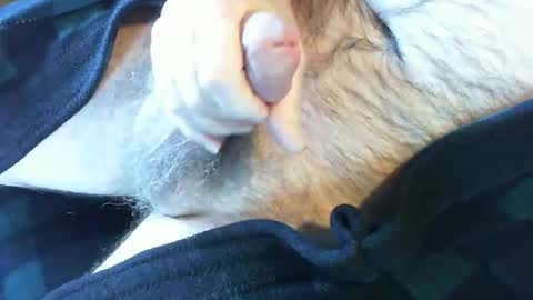 Snapshot of o269x2 chatting on February 13, 2025, 6:38 pm o269x2 online show from February 13, 2025, 6:38 pm