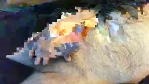 o269x2 online show from May 30, 2026, 10:12 am
