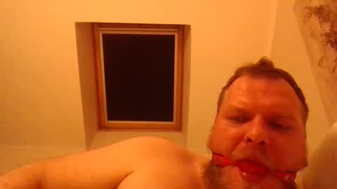 Snapshot of obesepervpiggy89 chatting on January 15, 2026, 2:38 am obesepervpiggy89 online show from January 15, 2026, 2:38 am