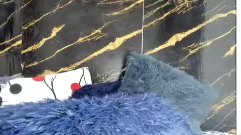 obregon_boyx18 online show from June 30, 2026, 11:06 pm