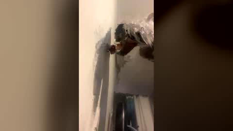 Snapshot of octavia_cd chatting on December 14, 2025, 9:03 am Kira online show from December 14, 2025, 9:03 am