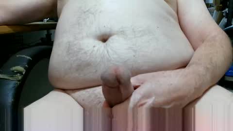 Snapshot of ohaussie chatting on December 29, 2024, 8:26 pm ohaussie online show from December 29, 2024, 8:26 pm