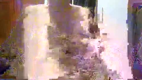 William online show from December 21, 2025, 7:48 am