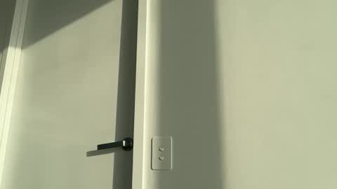 Olivia Brookes online show from November 17, 2025, 7:52 pm