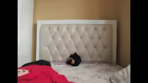 Snapshot of olwami4 chatting on February 22, 2026, 6:57 am olwami4 online show from February 22, 2026, 6:57 am