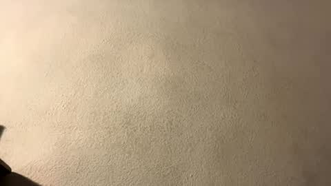 Snapshot of omgyesgurl chatting on September 28, 2025, 8:47 pm amy 3 online show from September 28, 2025, 8:47 pm