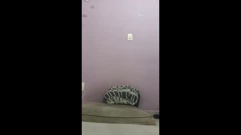 Snapshot of oneninjaone chatting on February 4, 2026, 2:01 pm oneninjaone online show from February 4, 2026, 2:01 pm