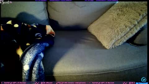  OF - Ooh 69sweet SNAP4LIFE OFFLINE  899 normal  VIP 1369 outside  online show from November 5, 2025, 1:00 pm