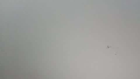 oooxxxrrr online show from January 12, 2026, 11:10 pm