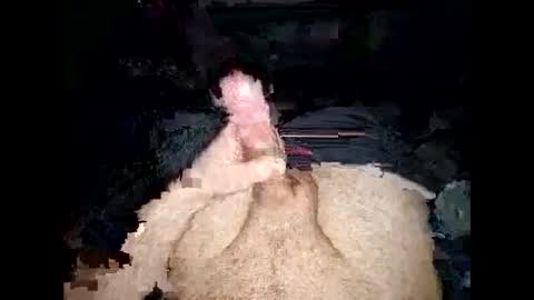 Snapshot of opelator chatting on January 27, 2025, 6:20 pm opelator online show from January 27, 2025, 6:20 pm