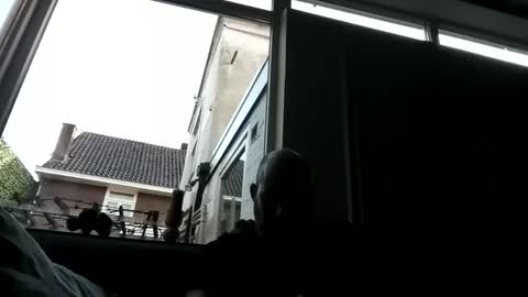 Snapshot of openmindedx8 chatting on December 23, 2024, 9:38 am Openminded online show from December 23, 2024, 9:38 am