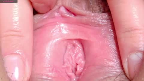 orchidekitty online show from April 29, 2026, 9:10 pm