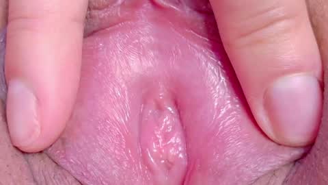 orchidekitty online show from May 17, 2026, 9:44 pm