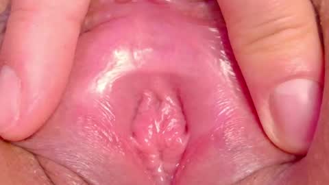 orchidekitty online show from May 28, 2026, 12:41 am