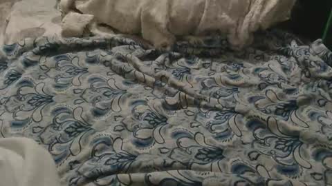 Snapshot of originalcali95 chatting on February 2, 2026, 3:27 am originalcali95 online show from February 2, 2026, 3:27 am