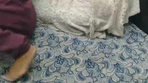 Snapshot of originalcali95 chatting on February 14, 2026, 8:27 pm originalcali95 online show from February 14, 2026, 8:27 pm