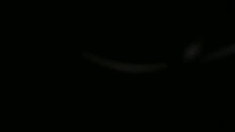 Snapshot of ossibottom chatting on November 1, 2025, 10:01 pm Ossi online show from November 1, 2025, 10:01 pm