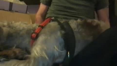 Snapshot of ossignol_xxx chatting on January 16, 2025, 6:14 am rossignol online show from January 16, 2025, 6:14 am