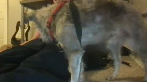 Snapshot of ossignol_xxx chatting on January 22, 2025, 4:44 am rossignol online show from January 22, 2025, 4:44 am