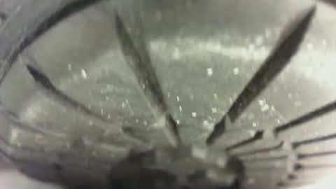 Pablo Meness online show from January 24, 2025, 4:49 pm