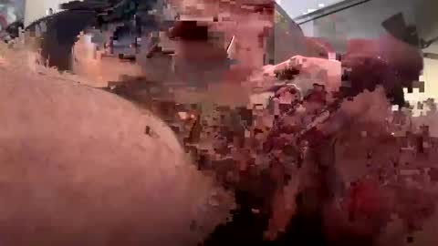 Snapshot of painter1142 chatting on February 10, 2025, 1:33 pm Rothkohammer online show from February 10, 2025, 1:33 pm