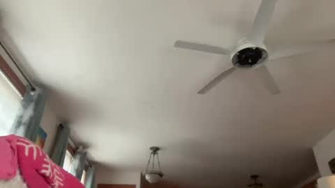 paisleysnowxo online show from October 29, 2025, 5:36 pm