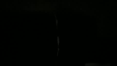 palley1120100250 online show from December 17, 2025, 9:26 am