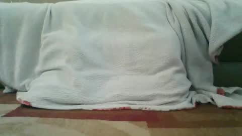 Snapshot of palmerwoodx chatting on February 2, 2026, 5:33 pm palmerwoodx online show from February 2, 2026, 5:33 pm