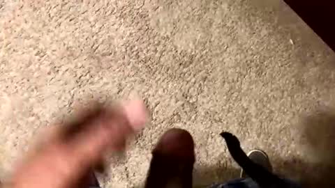 palote_69 online show from November 15, 2025, 3:37 am