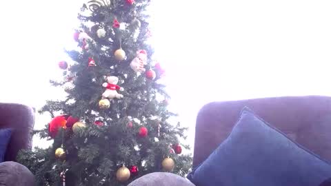 Snapshot of pandora__1 chatting on December 17, 2025, 5:41 pm pandora__1 online show from December 17, 2025, 5:41 pm
