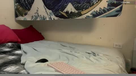 Snapshot of pantslesstraveler_plt chatting on December 16, 2025, 6:24 pm PantsLessTraveler online show from December 16, 2025, 6:24 pm