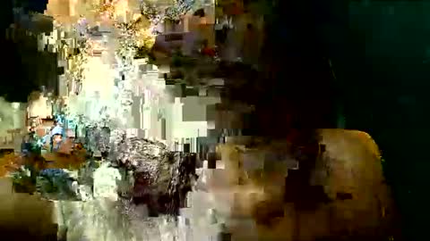 PAOLLA 23CM online show from March 24, 2026, 5:18 pm