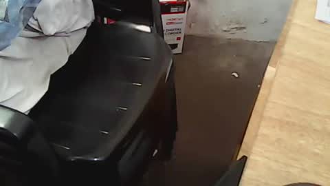 Snapshot of pareja201722 chatting on December 14, 2024, 7:46 pm pareja201722 online show from December 14, 2024, 7:46 pm