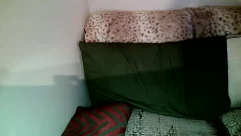 Snapshot of parlay0028 chatting on January 5, 2025, 10:08 pm Parlay tellio online show from January 5, 2025, 10:08 pm